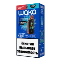 WAKA BURST (41000) — Арбуз + Ледяной микс фотография небольшая 1табачный.рф