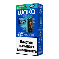 WAKA BURST (41000) — Ментол + Ледяной микс фотография небольшая 1табачный.рф